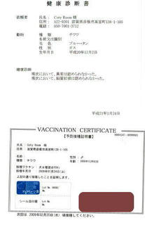 20090124cim2.jpg
