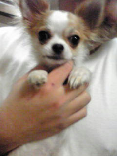 aoi_090222.jpg