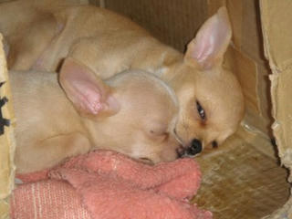Dsc00134.jpg