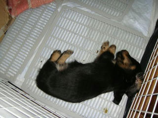 Dsc00135.jpg