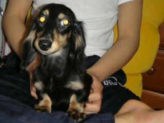 Dsc00160.jpg