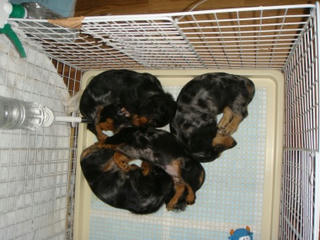 Dsc00600.jpg