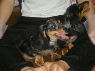Dsc00673.jpg