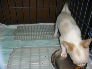 Dsc00801.jpg