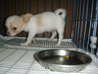 Dsc00802.jpg