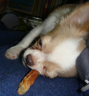 Dsc01112.jpg