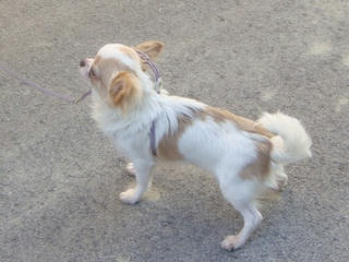 Dsc01186.jpg