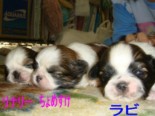 Dsc01236.jpg