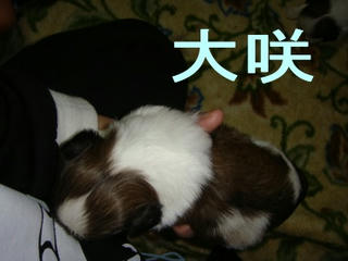Dsc01278.jpg