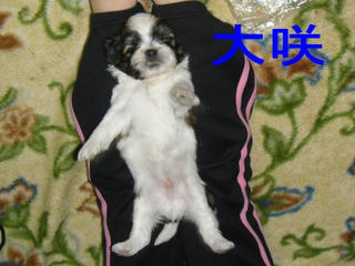 Dsc01287.jpg