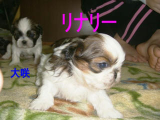 Dsc01288.jpg