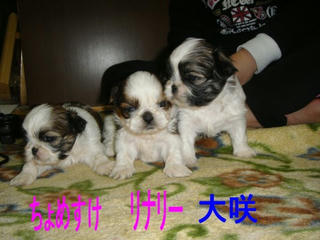 Dsc01291.jpg