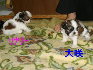 Dsc01296.jpg