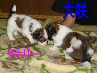 Dsc01297.jpg
