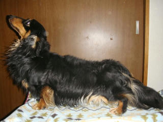 Dsc01314.jpg