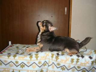 Dsc01334.jpg