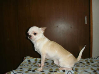 Dsc01335.jpg