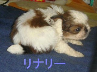 Dsc01429.jpg
