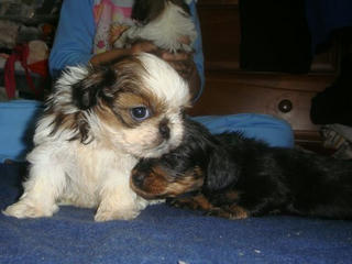 Dsc01444.jpg