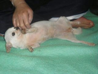 Dsc01580.jpg