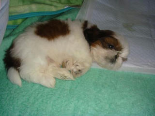 Dsc01643.jpg