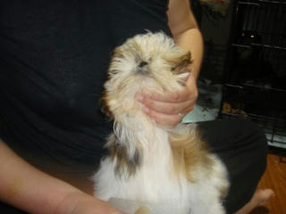 Dsc01888.jpg