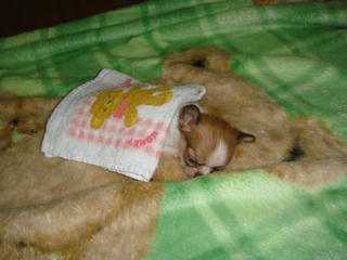 Dsc01883.jpg