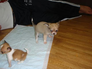 Dsc01884.jpg