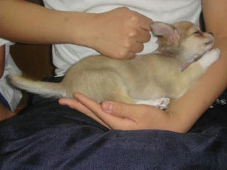 Dsc01960.jpg