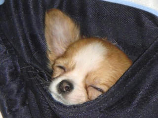 Dsc02053.jpg