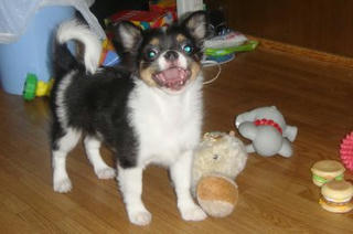 20110522rinoa.jpg