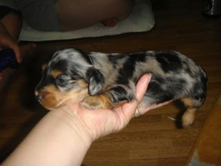 2011-05-24hinata2.jpg