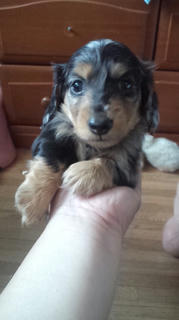 20110611hinata.jpg