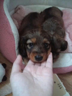 20110611gaara.jpg