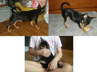 20110617thifa.jpg