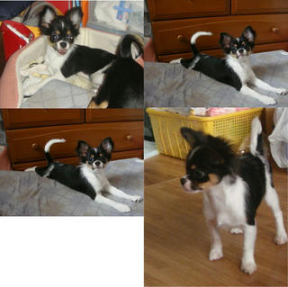 20110617rinoa.jpg