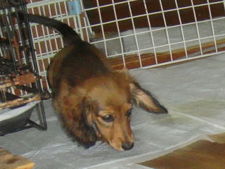 DSC03057.JPG