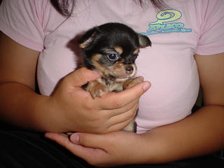 DSC00048.JPG