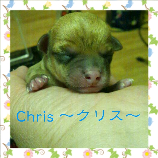 2012-05-27_22.23.29.jpg
