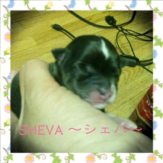 2012-05-27_22.19.54.jpg