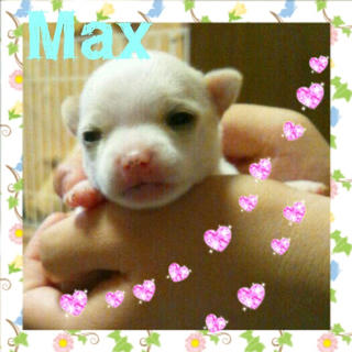 2012-06-29_00.54.29.jpg