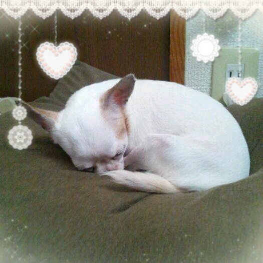 2012-07-02_09.07.47.jpg