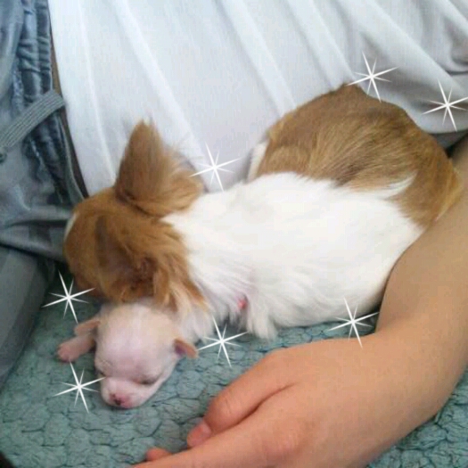 2012-07-02_09.46.18.jpg