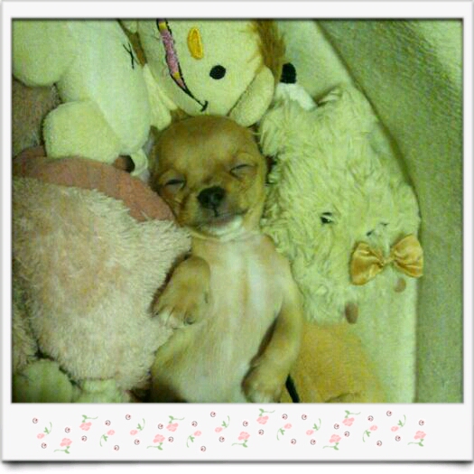 2012-07-04_22.09.34.jpg