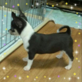 2012-08-02_17.43.45.jpg
