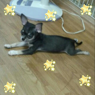 2012-08-02_17.48.26.jpg