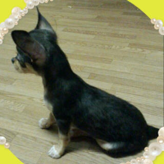 2012-08-02_17.54.49.jpg
