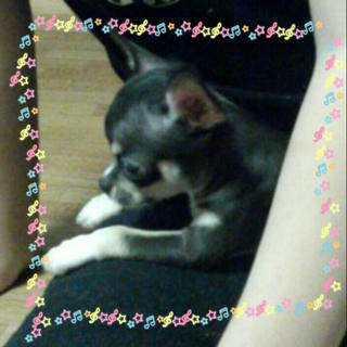 2012-08-02_17.51.26.jpg