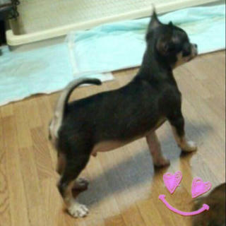 2012-08-02_17.57.36.jpg