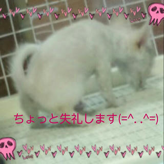 2012-08-02_22.17.11.jpg